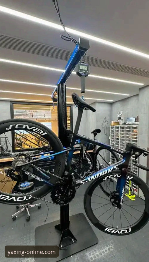 亚星官网手机版 vs. 桌面版：全方位体验深度对比分析